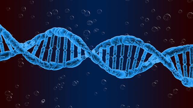 Lidská DNA už pro nás mnohá tajemství neskrývá
